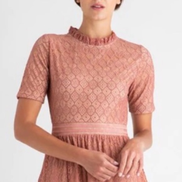 ROOLEE Romantic Beautiful Rose Pink Lace Lined MIDI Length Dress XXXL 3X New Tag - Picture 5 of 12